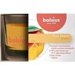 Bolsius Aromatic 2.0 Mango Scented Candle Bottle 1×1 pc, size 80 x 50 mm