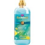 Ammorbidente Kuschelweich - Emotions blue, 38 lavaggi 1×1 l, ammorbidente per tessuti