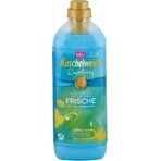 Ammorbidente Kuschelweich - Emotions blue, 38 lavaggi 1×1 l, ammorbidente per tessuti