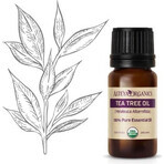 Alteya Organics Teebaumöl 1×10 ml, ätherisches Öl