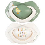 Canpol Babies, pacifier, silicone, symmetrical, Goose, 0-6 months, 2 pieces