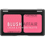 Catrice Blush Affair Cream & Powder Palette, blush, Pleasing Pink, 020, 6 g