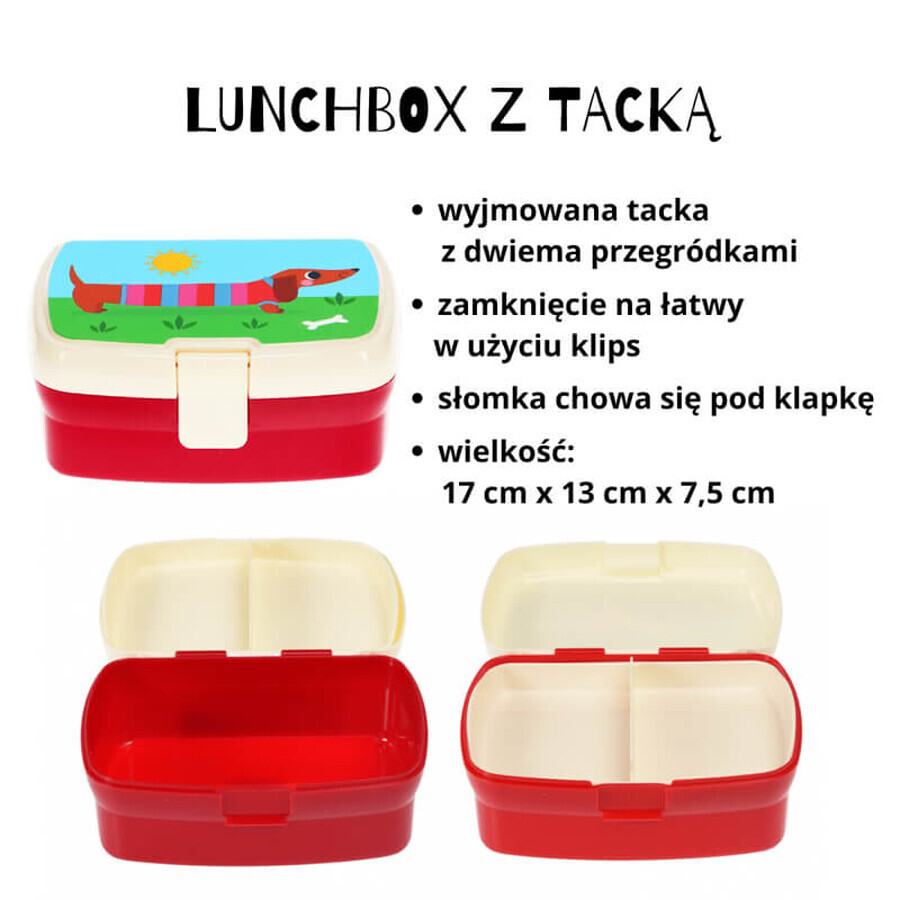 Set Rex London, scatola per la colazione + scatola di latta, teckeli