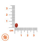 SEMA Lab Bètacaroteen + Vitamine E, 60 softgels Beschadigde verpakking