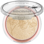 Catrice More Than Glow, verhelderend poeder, Nr. 030 Beyond Golden Glow, 5.9 g