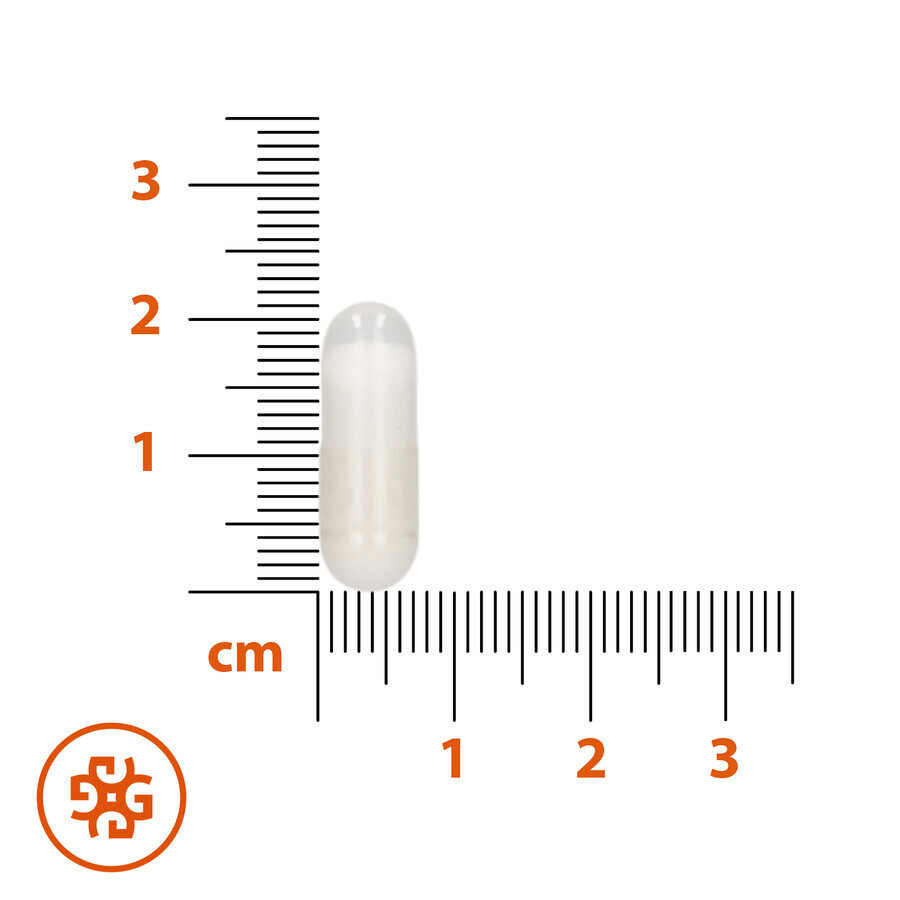 SEMA Lab Kalium, 60 Hartkapseln