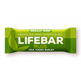 Barre d'orge crue et de chia, 47 g, Lifebar