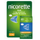 Nicorette Fruit 4 mg, 40 tabletten