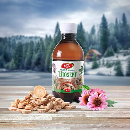 Biosept Sirup, A16, 250 ml, Fares