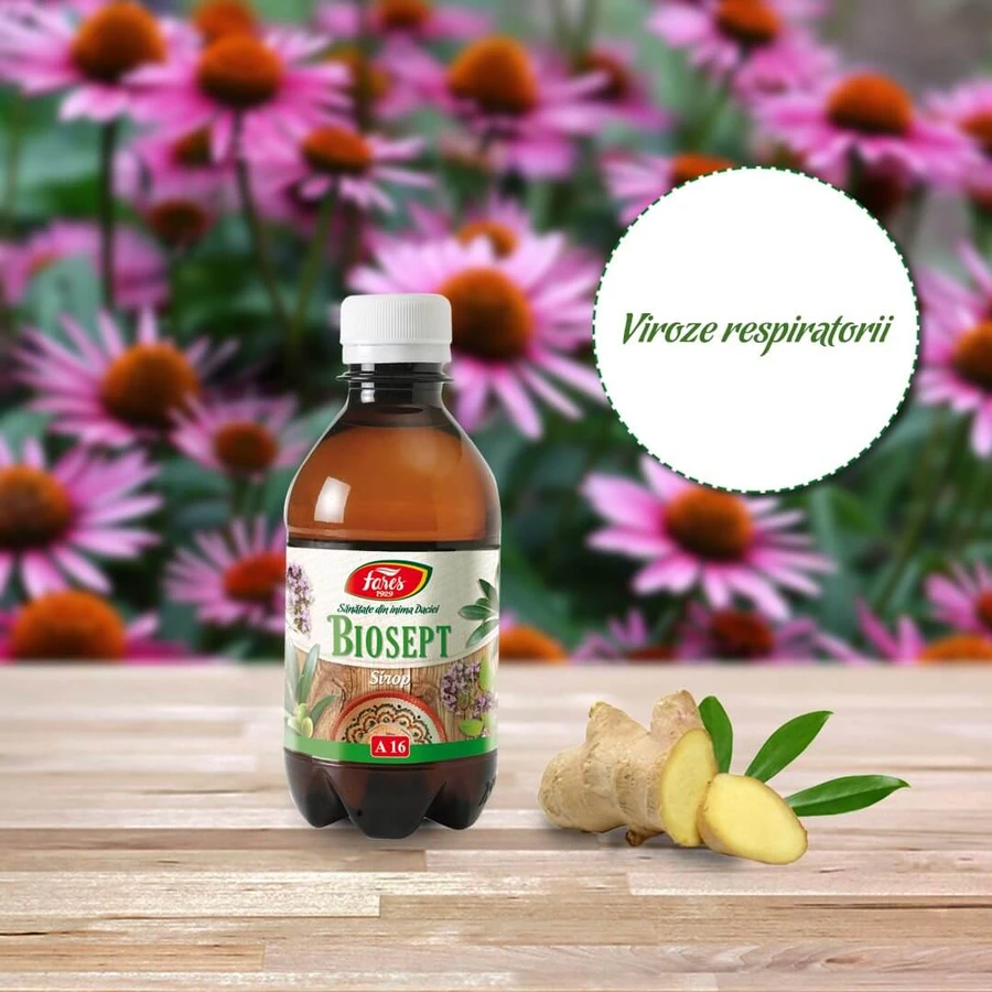 Biosept Sirup, A16, 250 ml, Fares