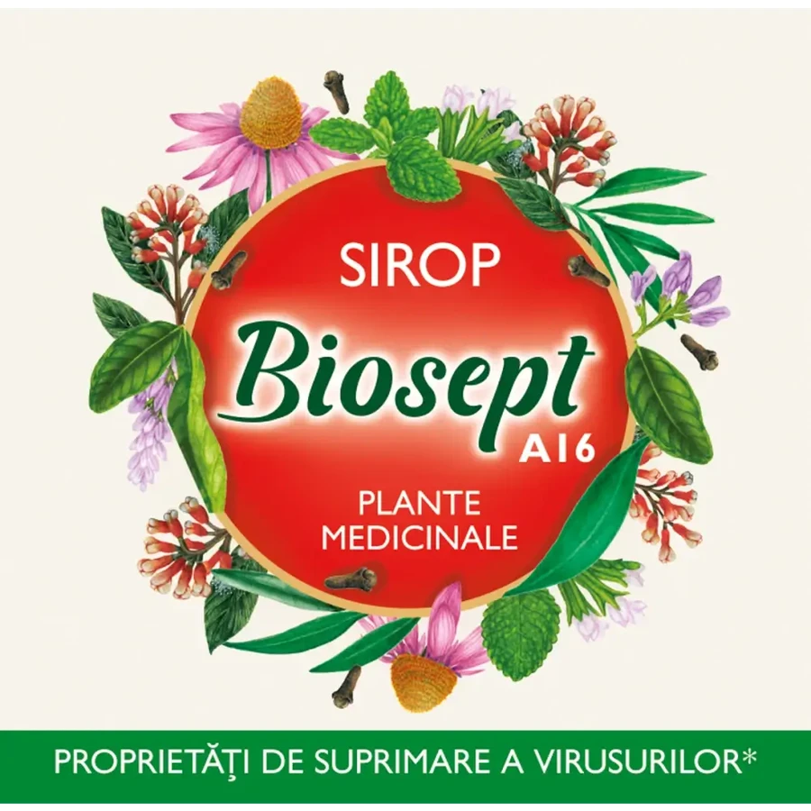 Biosept Sirup, A16, 250 ml, Fares