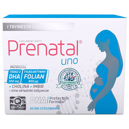 Prenatal Uno, 30 capsules + DHA, 30 capsules