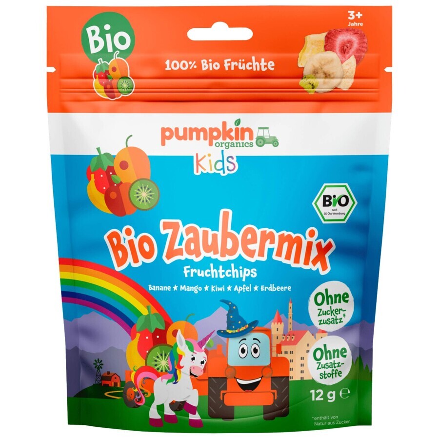 Biologische fruitmix chips, +3 jaar, 12 g, Pumpkin Organics