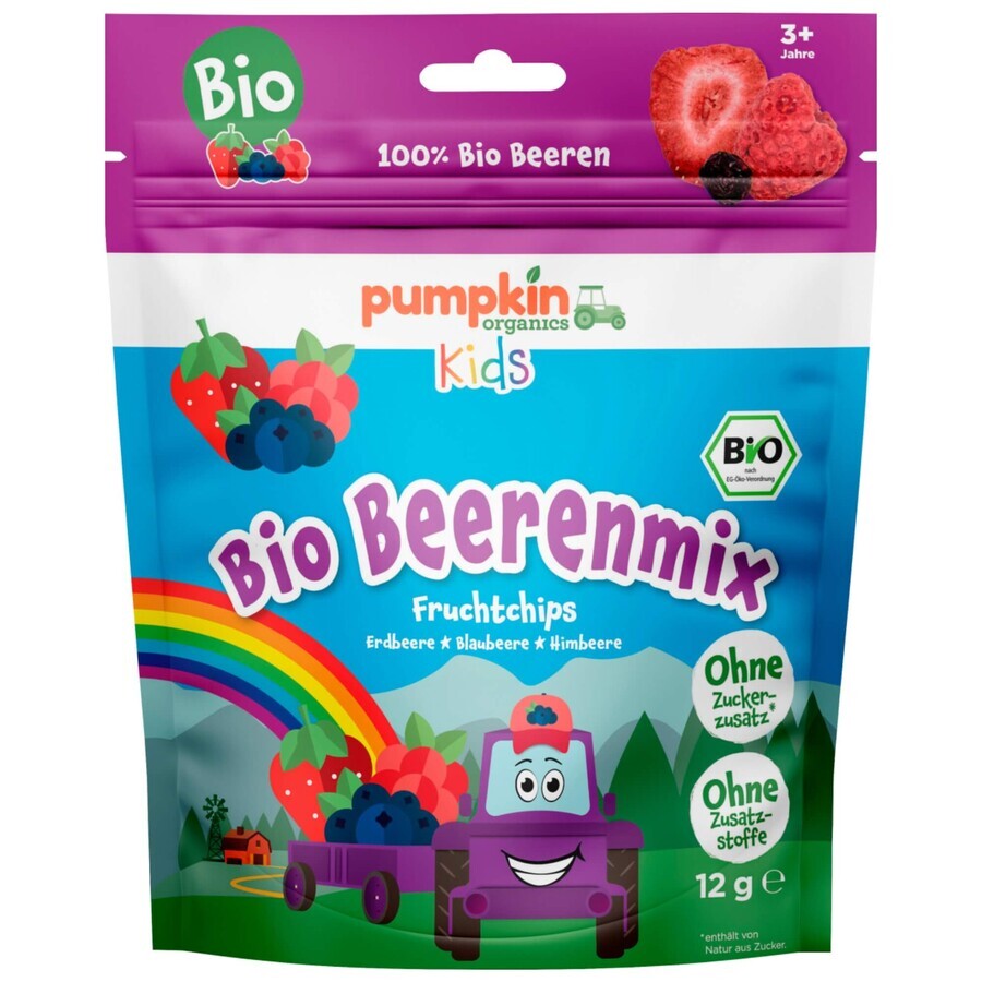 Biologische gemengde bessen chips, +3 jaar, 12 g, Pumpkin Organics