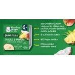 Gerber Bio 100% plantaardig appel en ananas dessert met kokosmelk stuk 4 x 90 g