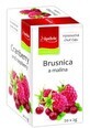 Apotheke Premier Selection Cranberry en Framboos theezakjes 20 x 2 g