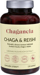 Chaganela Chaga extract met reishi 150 capsules