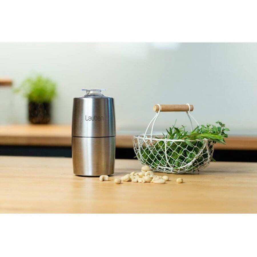 Lauben Grinder 200ST Electric coffee grinder