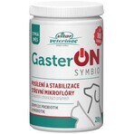 Vitar Veterinae GasterON SYMBIO potje 28 g