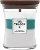 WoodWick Trilogy medium geurkaars, Icy woodland 275 g