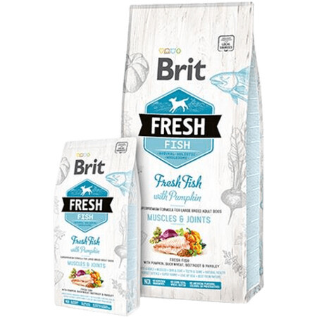 Brit Fresh Fish mit Kürbis Adult Large 12 kg