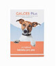 Galces voor honden 10 tabletten