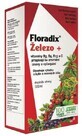 Salus Floradix IJzer - vloeibaar 500 ml