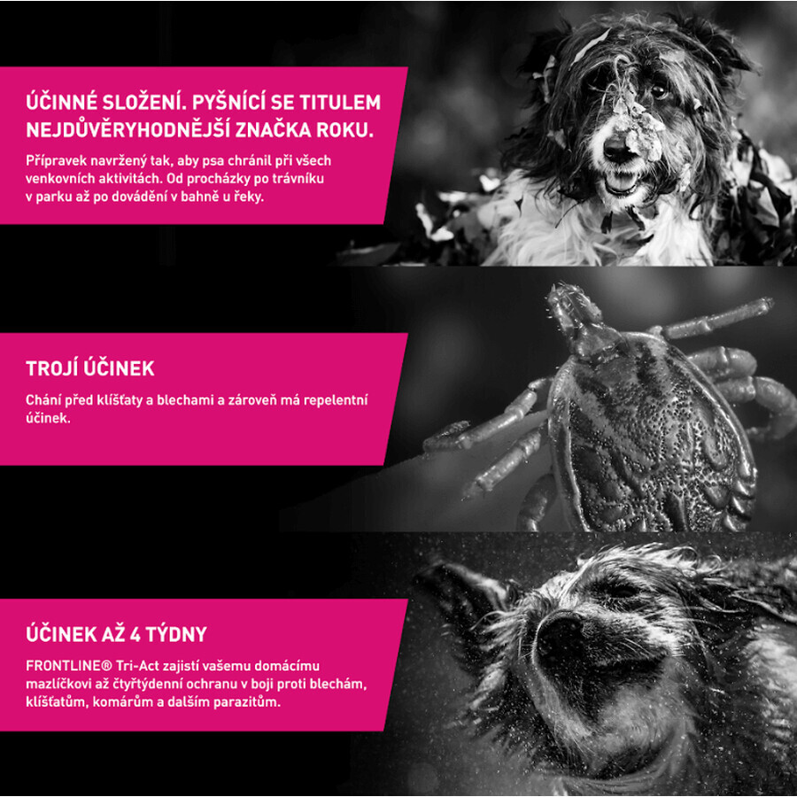 Frontline Tri-Act Spot-On voor honden L gemalen 4 ml