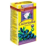 Agrocarpaty Blueberry pure natural fruit tea 20 x 2 g