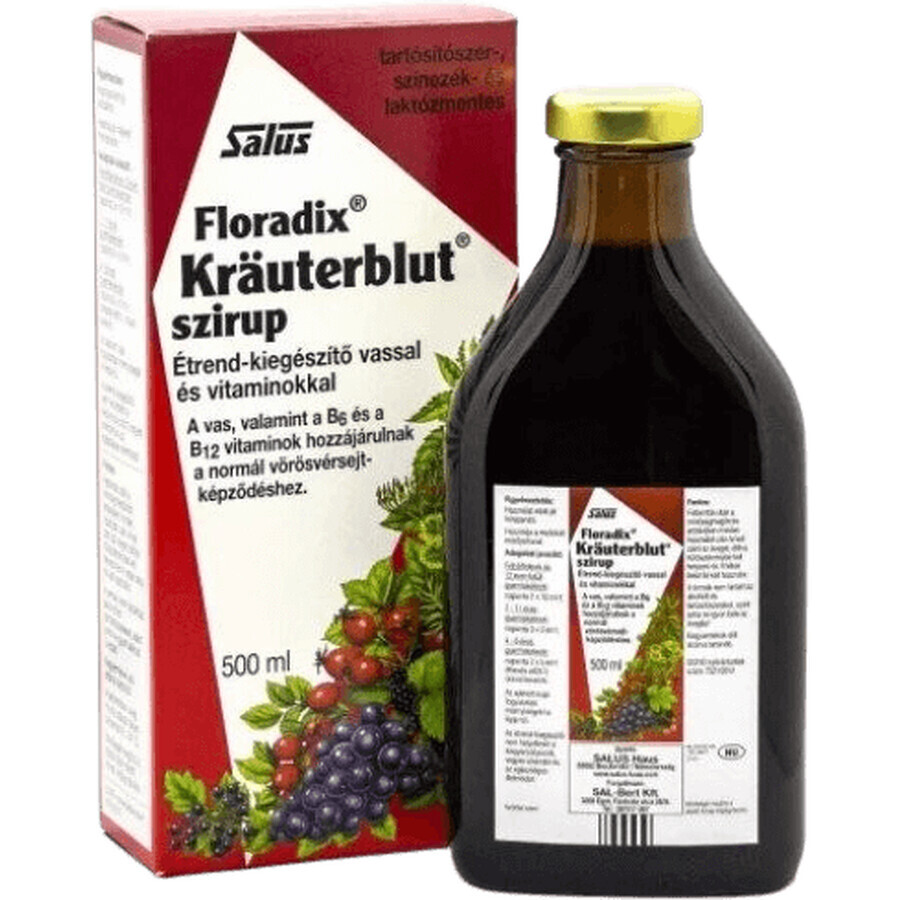 Salus Floradix Kräuterblut siroop met ijzer en vitaminen 500 ml