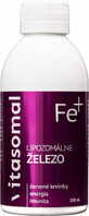 IJzer liposomaal vitasomaal (zonder conserveringsmiddelen 200 ml