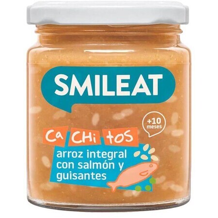 Smileat Bio Zalm met zilvervliesrijst en groenten met extra vierge olijfolie 10M+ 230 g