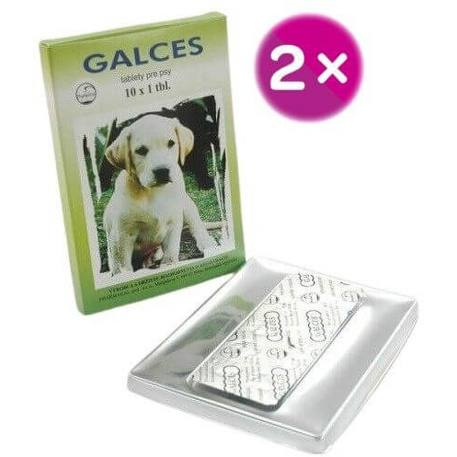 Galces voor honden 2 x 10 tabletten