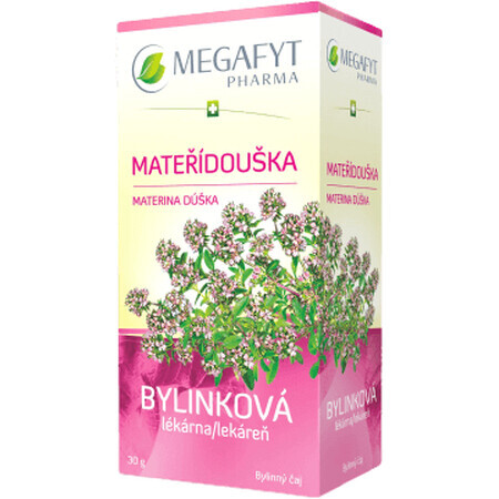 Kruidenapotheek Megafyt Mum's Breath 20 x 1,5 g