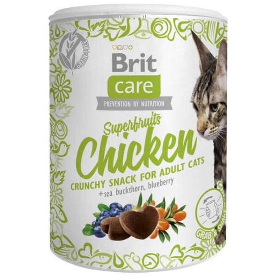 Brit Care gustare pentru pisici superfruits pui 100 g