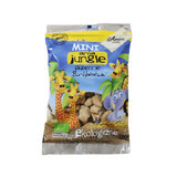 Mini biscuits Eco, 100 gr, Ania