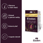 GS Eladen 90 + 30 capsules