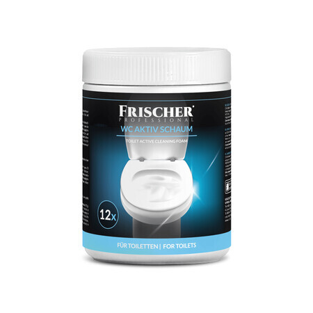 Toiletreinigingsschuim, 1000 g, Frischer