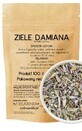 Damiana plant 50g ZIELARZPOLSKI