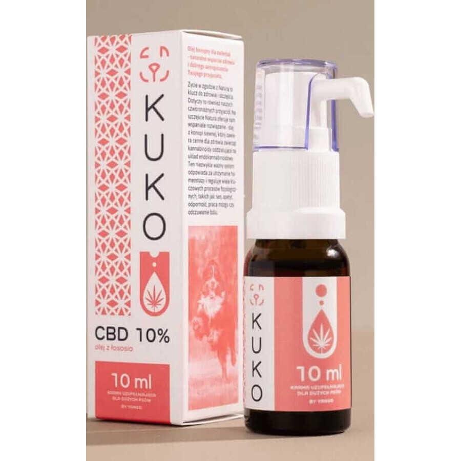 CBD oil 10% for big dogs - 10ml KUKO Salmon Oil by Yango