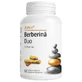 Berberine Duo met Piperine, 60 plantaardige capsules, Alevia