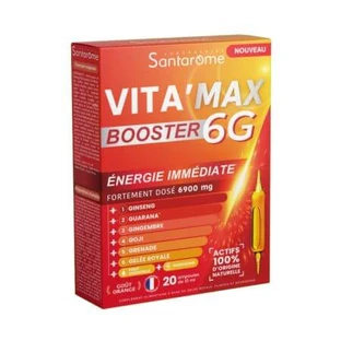 Vitamax 6G, 20 flacons x 10 ml, Santarome