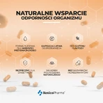 Menachinox K2 + D3 2000, 60 softgels