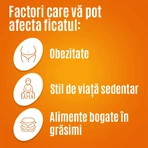 Essentiale Forte 300 mg 2 x 50 capsule, Sanofi 