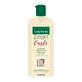 Szampon nawilżający do włosów kręconych Expert Curls Treatment, 250 ml, Gerovital