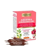 Apielixir Fettverbrennung, 30 Ampullen, Albina Carpatina 