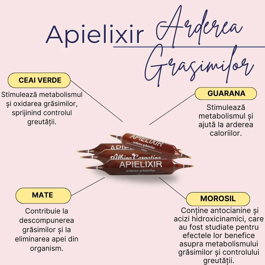 Apielixir Fat Burning, 30 flacons, Albina Carpatina
