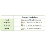 Sinupret Siroop Junior 2+, 100 ml, Bionorica