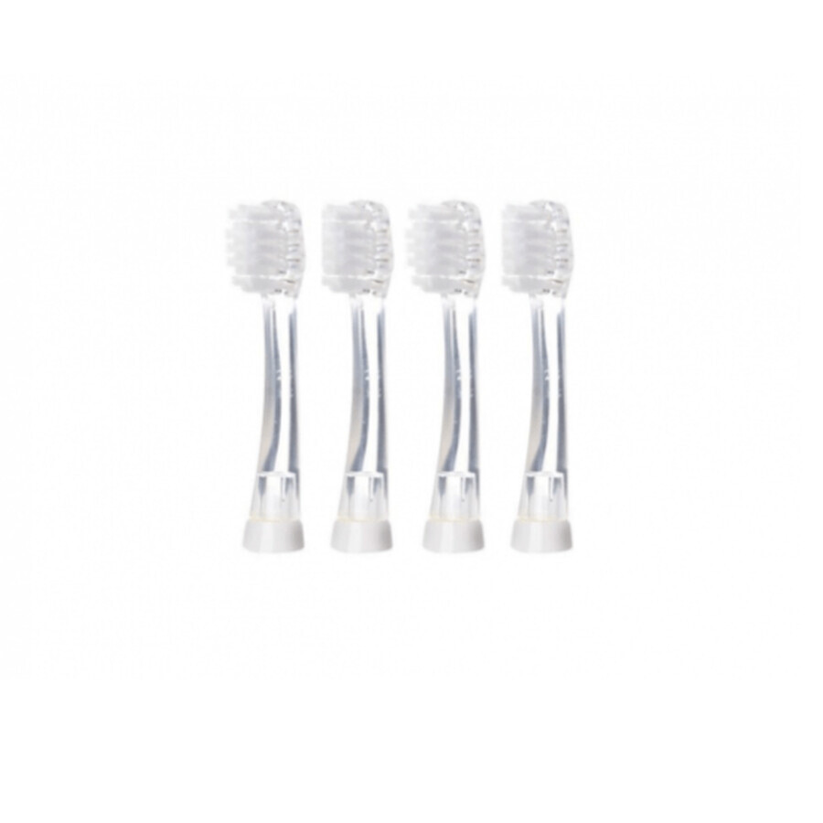 Têtes de rechange pour brosse à dents électrique Kidzsonic, +3 ans, Brush-baby