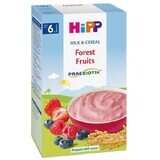 Müsli mit Milch und Beeren, +6 Monate, 250 g, Hipp